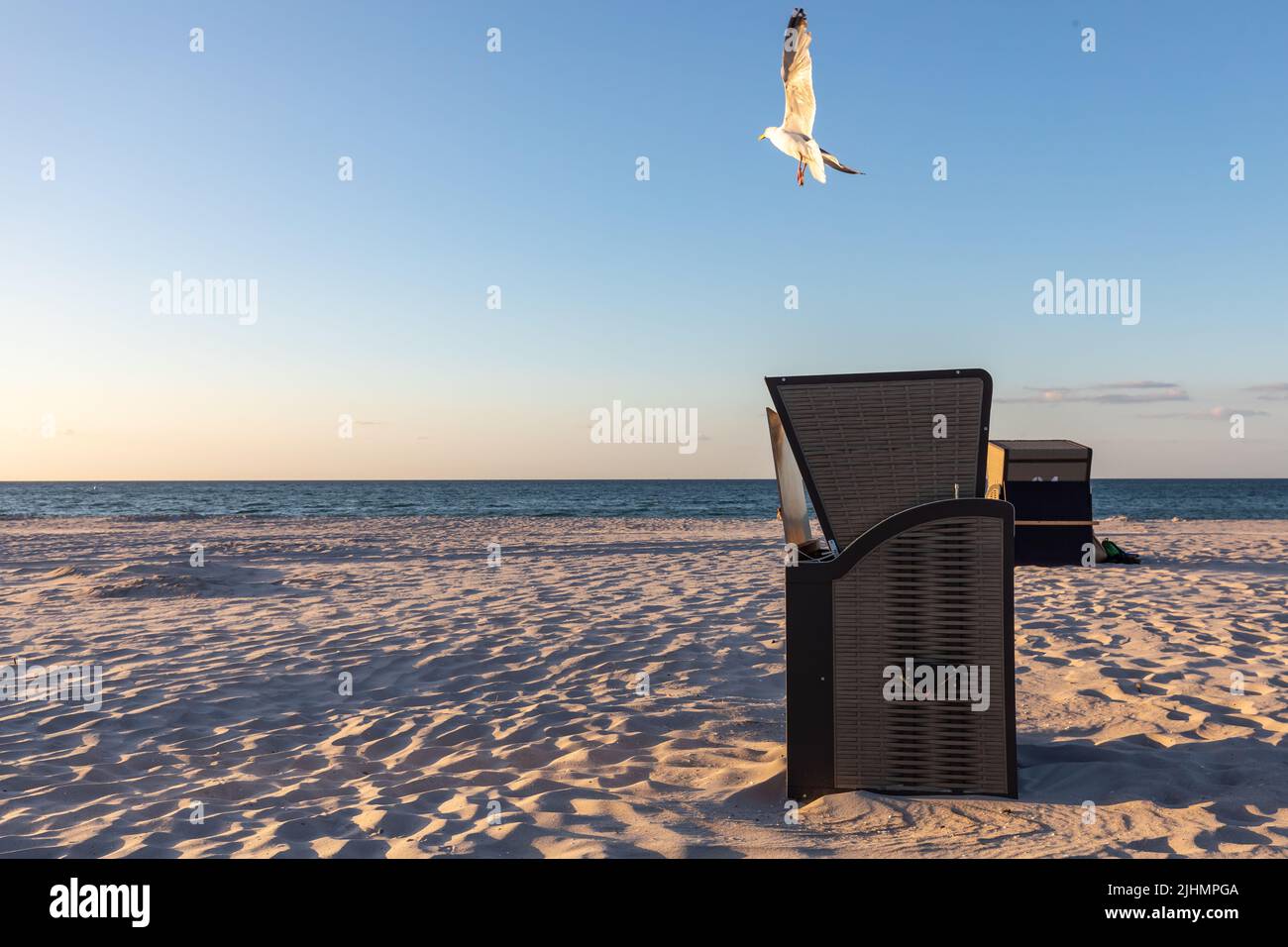 seagull verlässt den Liegestuhl in der Abendsonne Stockfoto