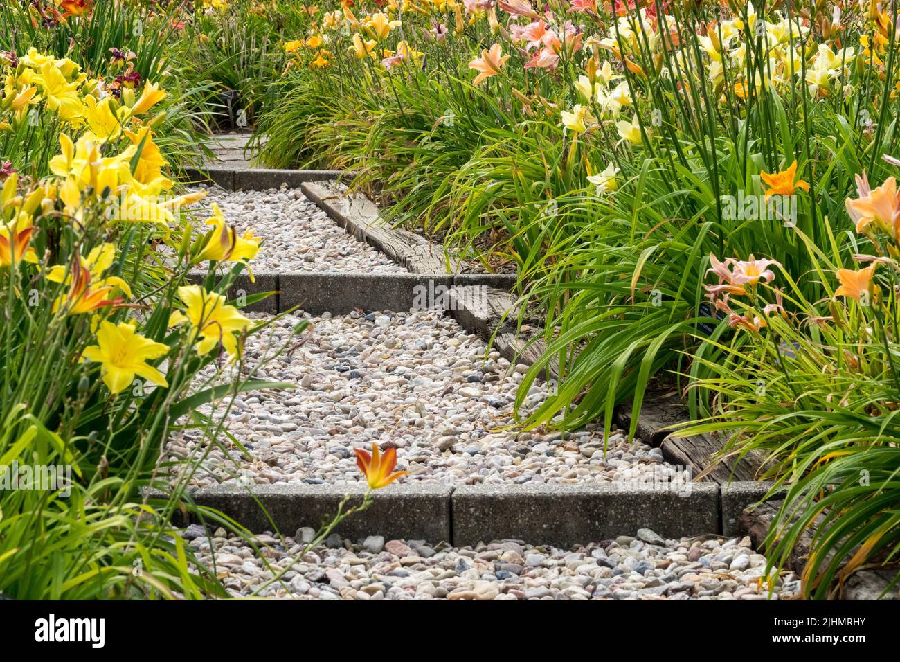 Schotterpfad im Garten führt zwischen blühenden Tageslilien, Sommer Juli Garten Treppe Blumen Kiesgarten Stockfoto