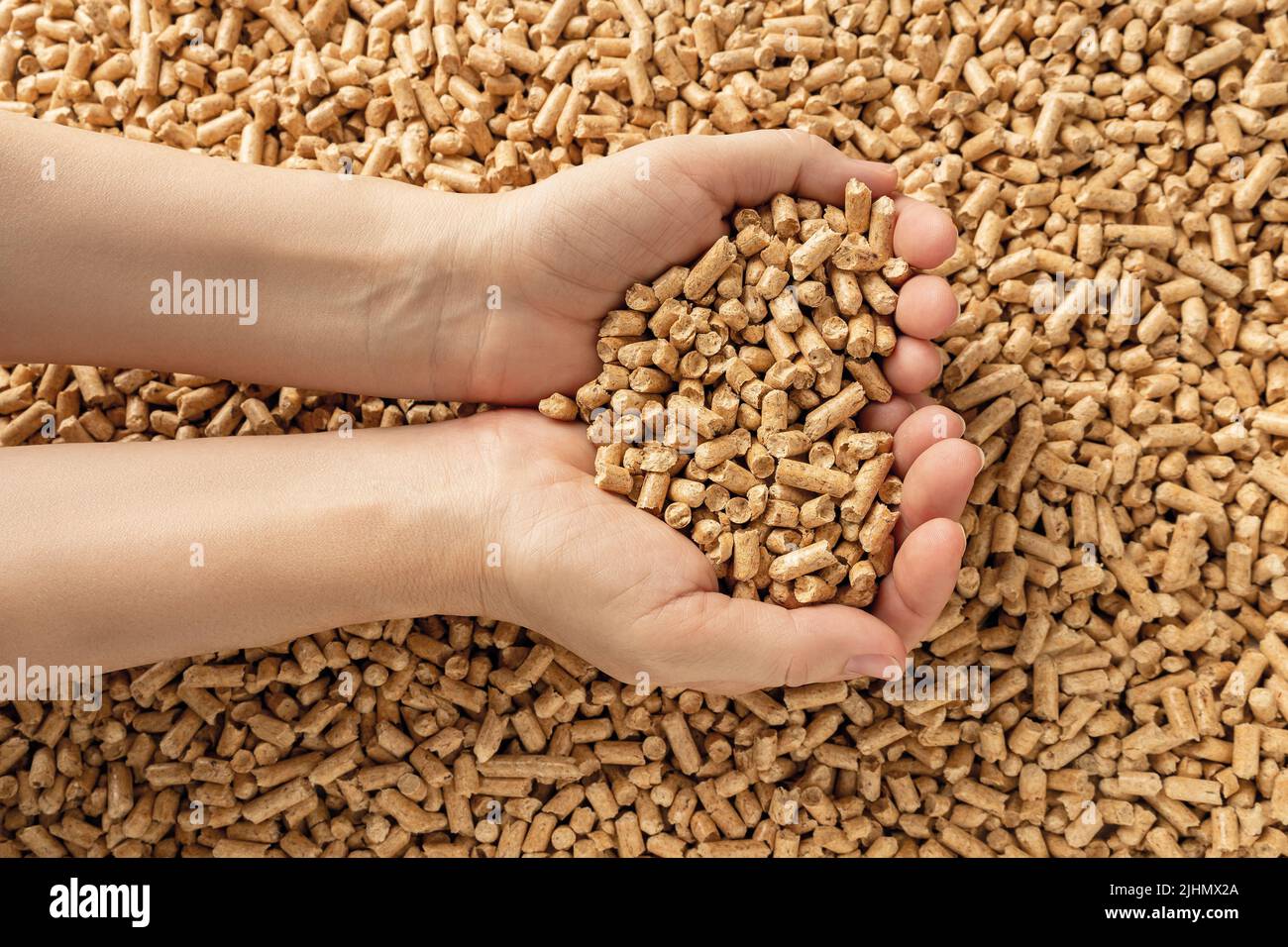 Weibliche Hände halten Holzpellets. Eine Handvoll Holzpellets in den Händen einer Person. Organischer Biokraftstoff aus verdichtetem Sägemehl. Alternative Energie. Stockfoto