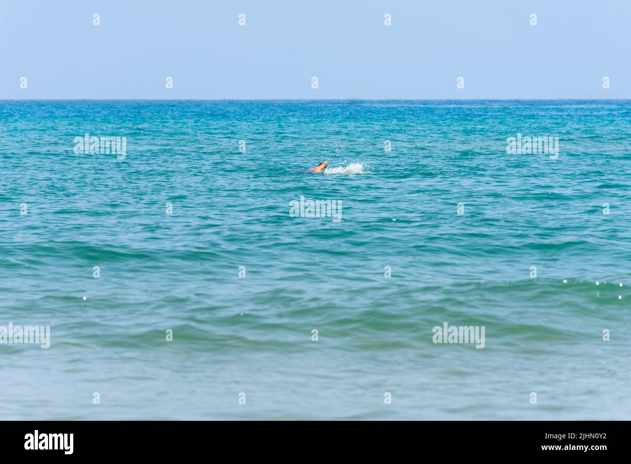 Junger Mann, der im Mittelmeer schwimmend ist. Konzept für Sommerferien. Stockfoto