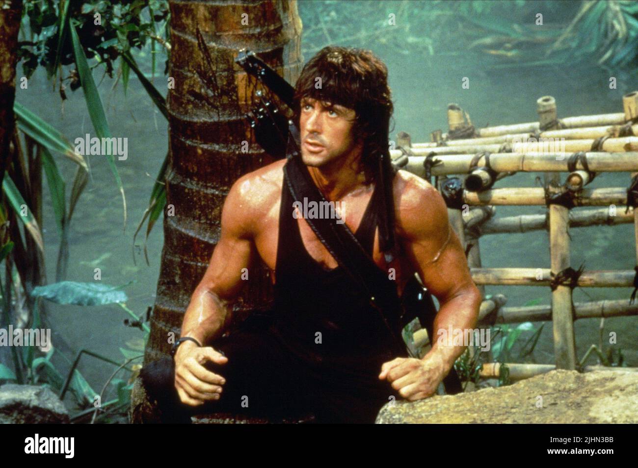 Sylvester stallone rambo ii -Fotos und -Bildmaterial in hoher Auflösung ...