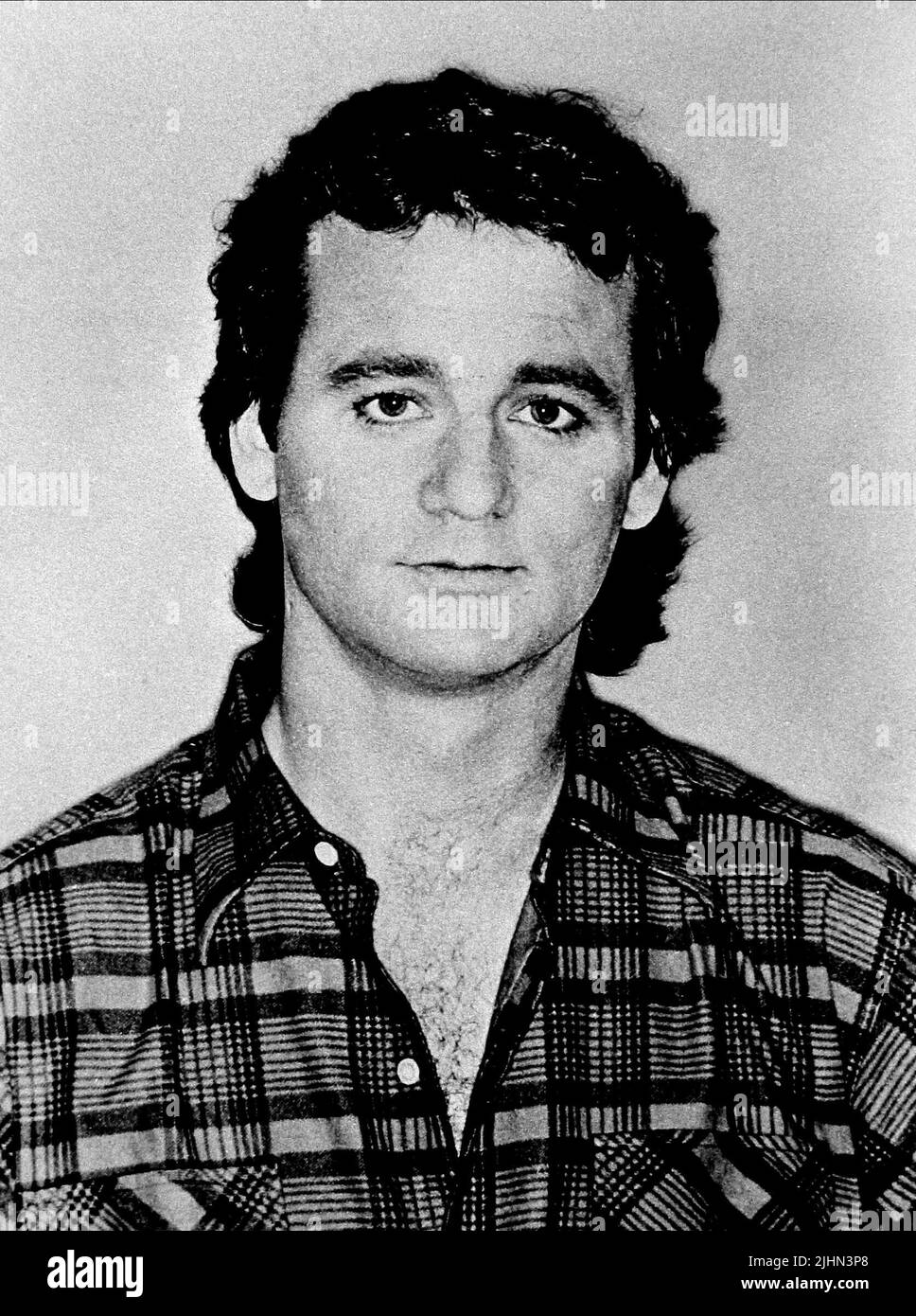 BILL MURRAY, SAMSTAGABEND LIVE, 1981 Stockfoto
