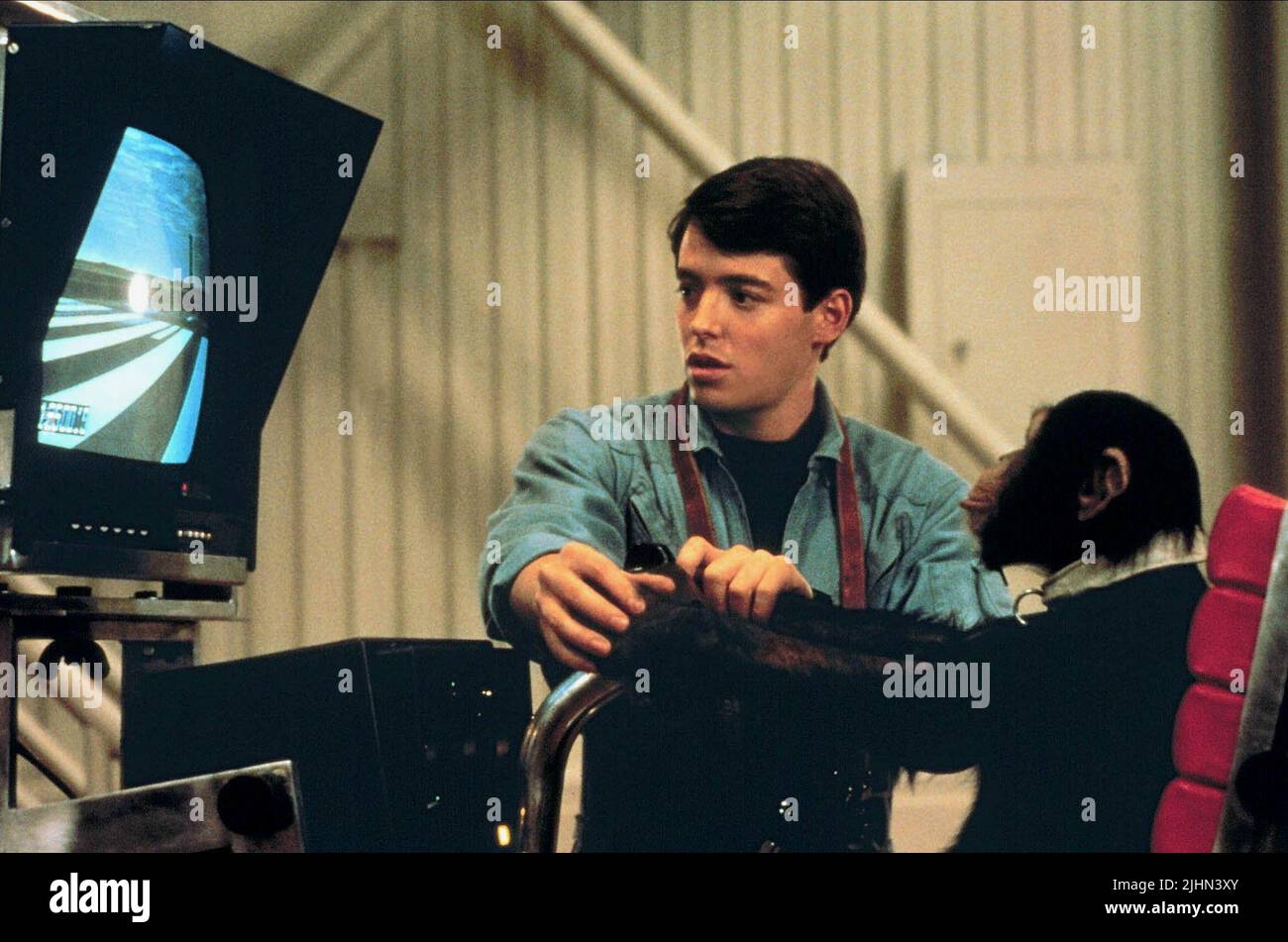 MATTHEW BRODERICK, Schimpanse, Projekt X, 1987 Stockfoto
