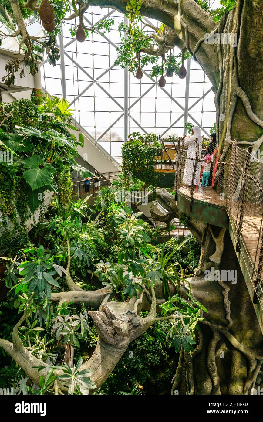Dubai, VAE, 8. Oktober 2016: The Green Planet Dubai - Indoor-Regenwald-Umgebung mit tropischen Vögeln, Tieren und Pflanzen Stockfoto