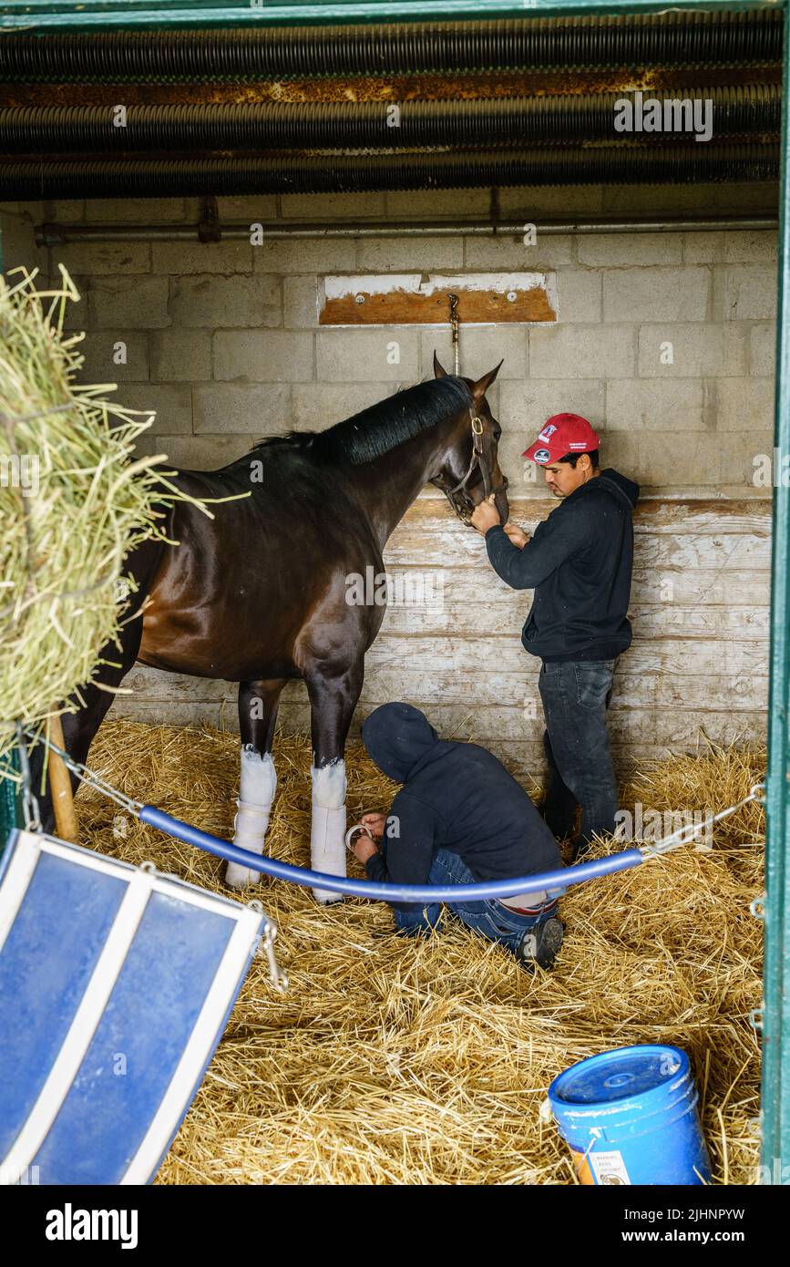 Lexington, Kentucky, 7. April 2022: Zwei Stallarbeiter, die in Keeneland Stables in Lexington, Kentucky, ein Rennpferd besuchten Stockfoto