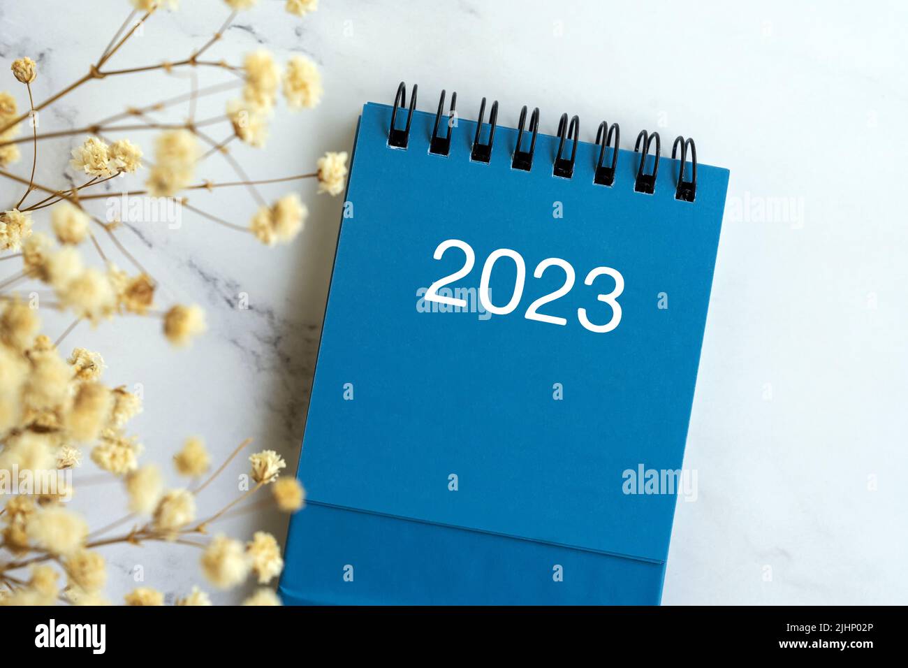 Neujahr 2023 Kalender flach lag mit Blume Stockfoto