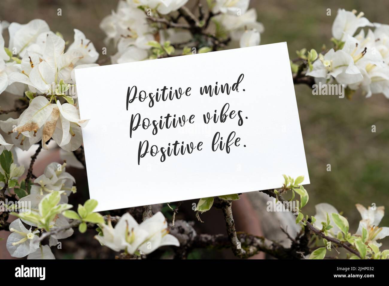 Ein Stück Papier mit Inspirationen zitiert Text - positiver Geist, positive Stimmung, positives Leben Stockfoto