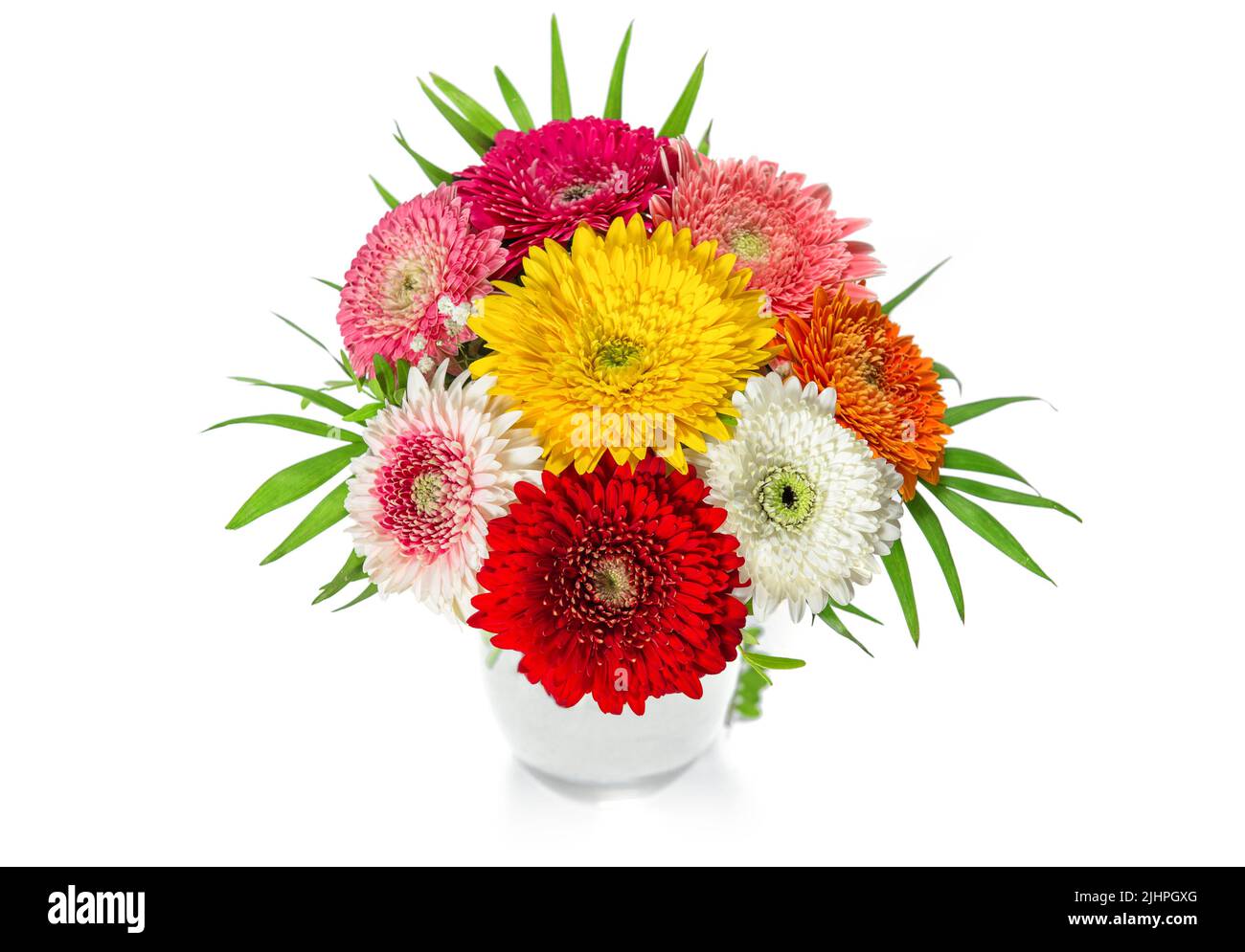 Bunte Gerbera Blumen auf weißem Hintergrund. Blumenarrangement Stockfoto