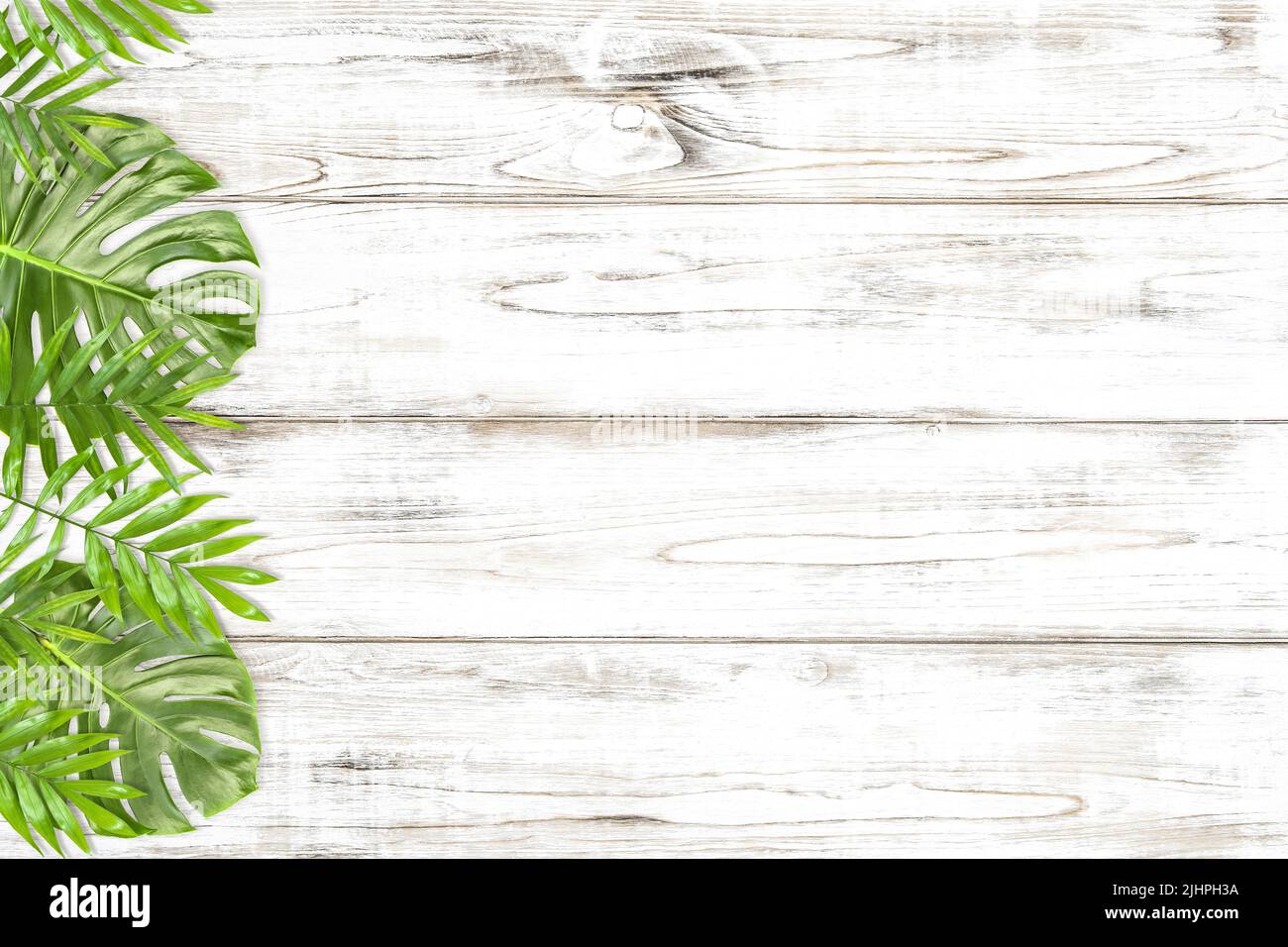 Floraler Rand mit grünen Monstera und Palmenblättern auf hellem Holzhintergrund Stockfoto
