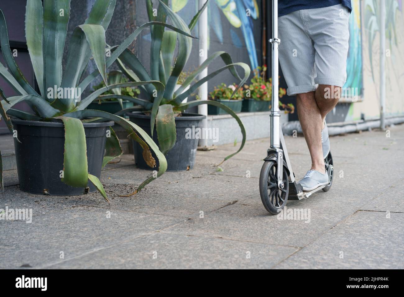 Nahaufnahme man Ride Scooter mit großen Rädern mit einer Fahrt auf der Straße oder Park nach der Arbeit im Freien mit Agavenpflanzen auf dem Hintergrund. Kein Gesicht sichtbar. Konzentrieren Sie sich auf das Vorderrad mit Griff. Stockfoto