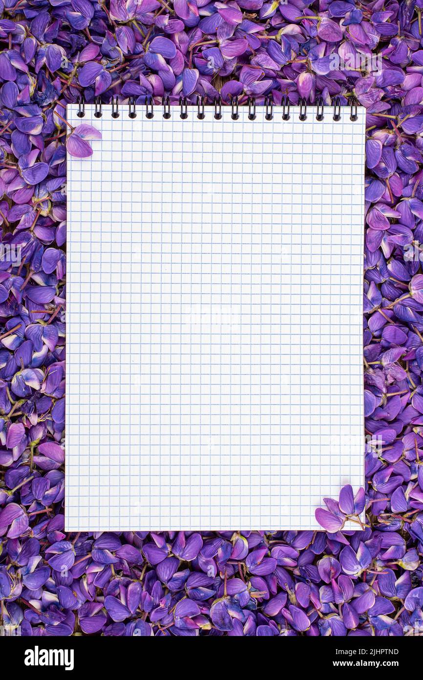 Weißes Blatt Papier in violetten Lupinenfarben, Kopierbereich Stockfoto