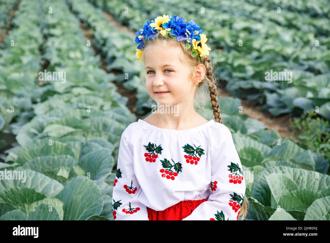 Porträt des Mädchens in traditionellen bestickten ukrainischen Hemd und blau-gelbe Krone vor dem Hintergrund des Feldes von Kohl. Viburnum ist ein Symbol der Ukraine, das auf Kinderkleidung gestickt ist. Unabhängigkeitstag Stockfoto