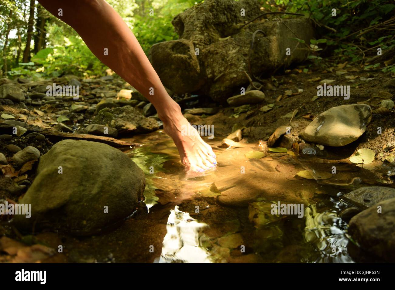 Elegante Bewegung einer Barfußfrau, in der sie ihren Fuß aus einer klaren, frischen Wasserpfütze in der Natur herausnimmt, während der Sonnenstrahl auf ihrem Fuß reflektiert Stockfoto