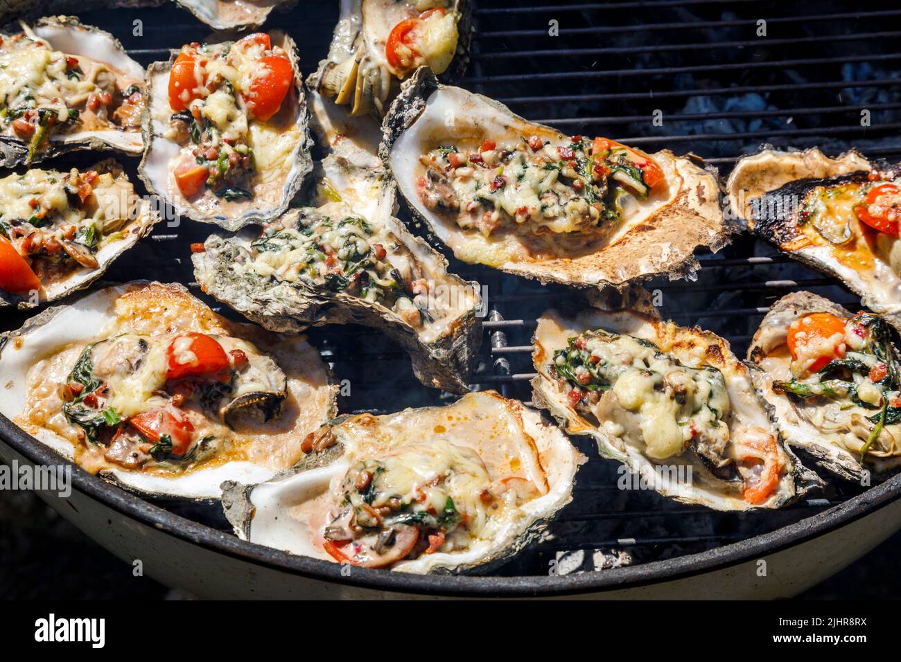 Wildaustern, gesammelt an der Schleswig-holsteinischen Nordseeküste, gebacken auf dem Holzkohlegrill mit Pesto, Tomaten und Käse Stockfoto