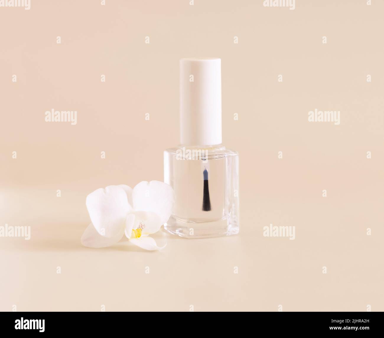 Wiederfüllbare Flasche aus klarem Glas mit Bürstendeckel in der Nähe von weißer Orchideenblüte auf hellgelb, Nahaufnahme, Mockup. Hautpflege Nagel Produkt. Exotische Naturkosmetik Stockfoto