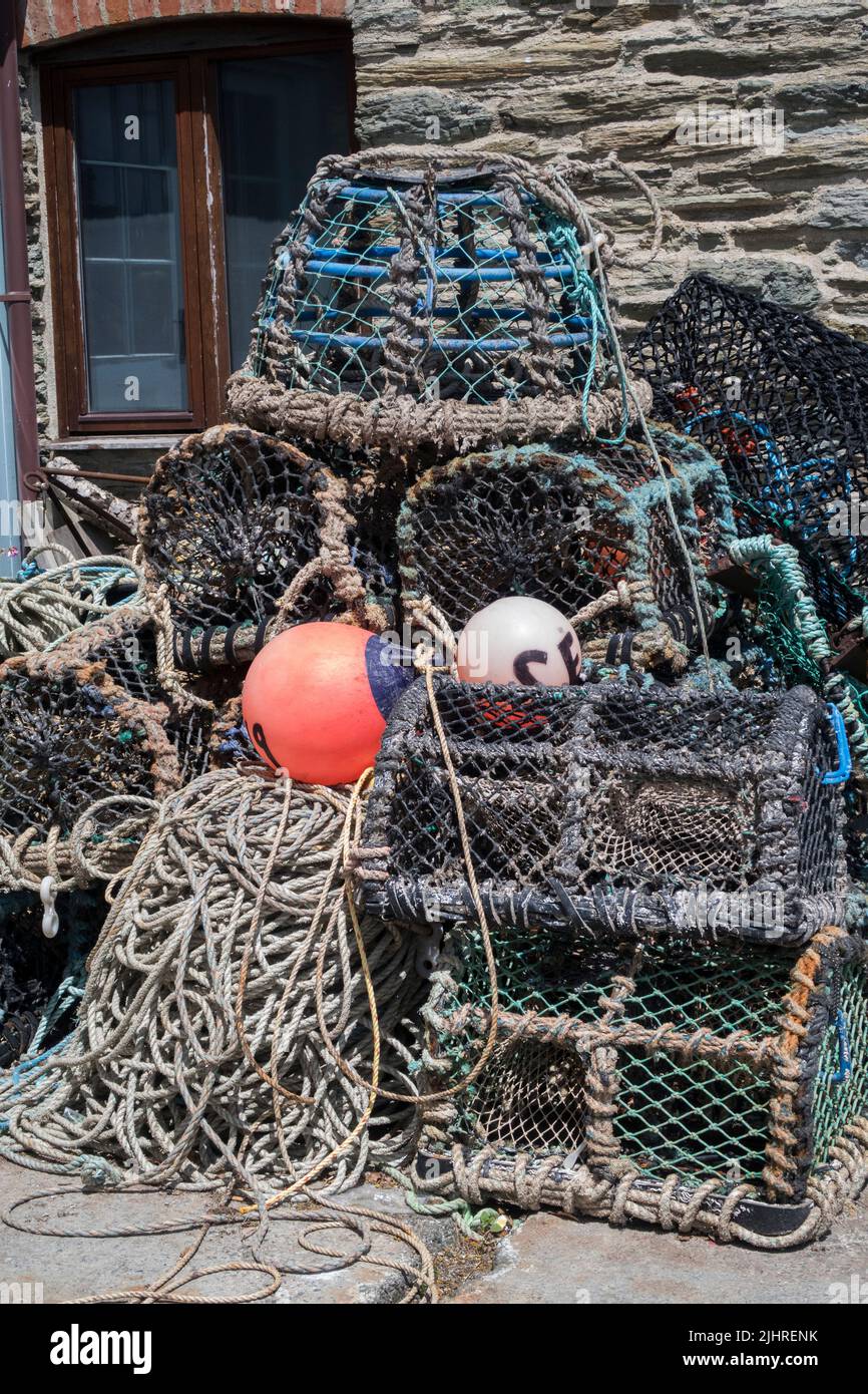 Hummer- und Krabbenbecher Stockfoto