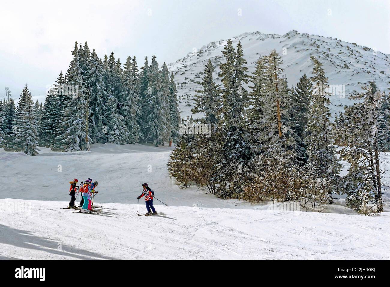 Skifahrer auf dem Berg Vitosha, Bulgarien, Europa, Stockfoto