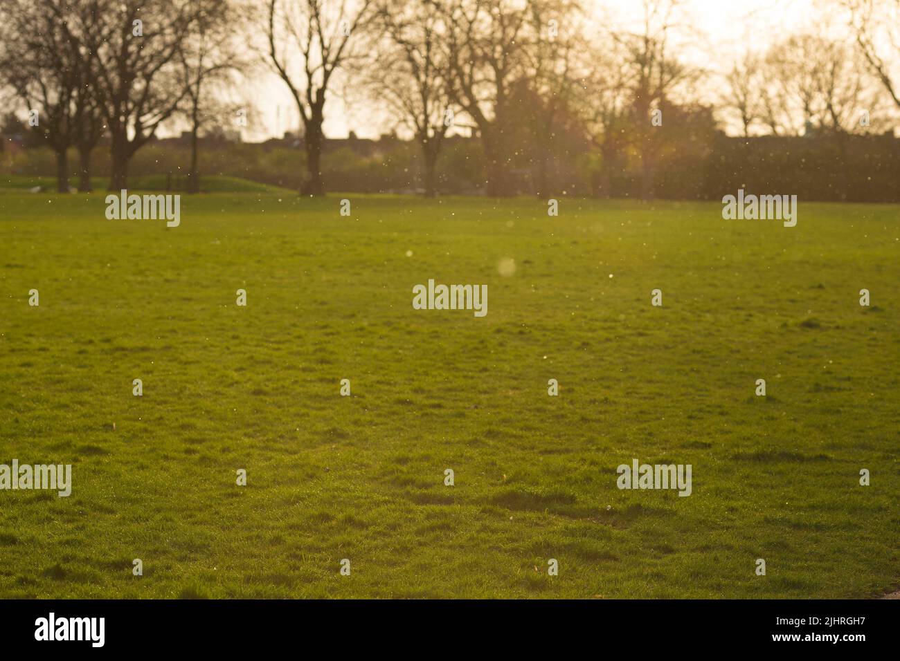 Schneeflocken fallen in einem Park in East London. Stockfoto