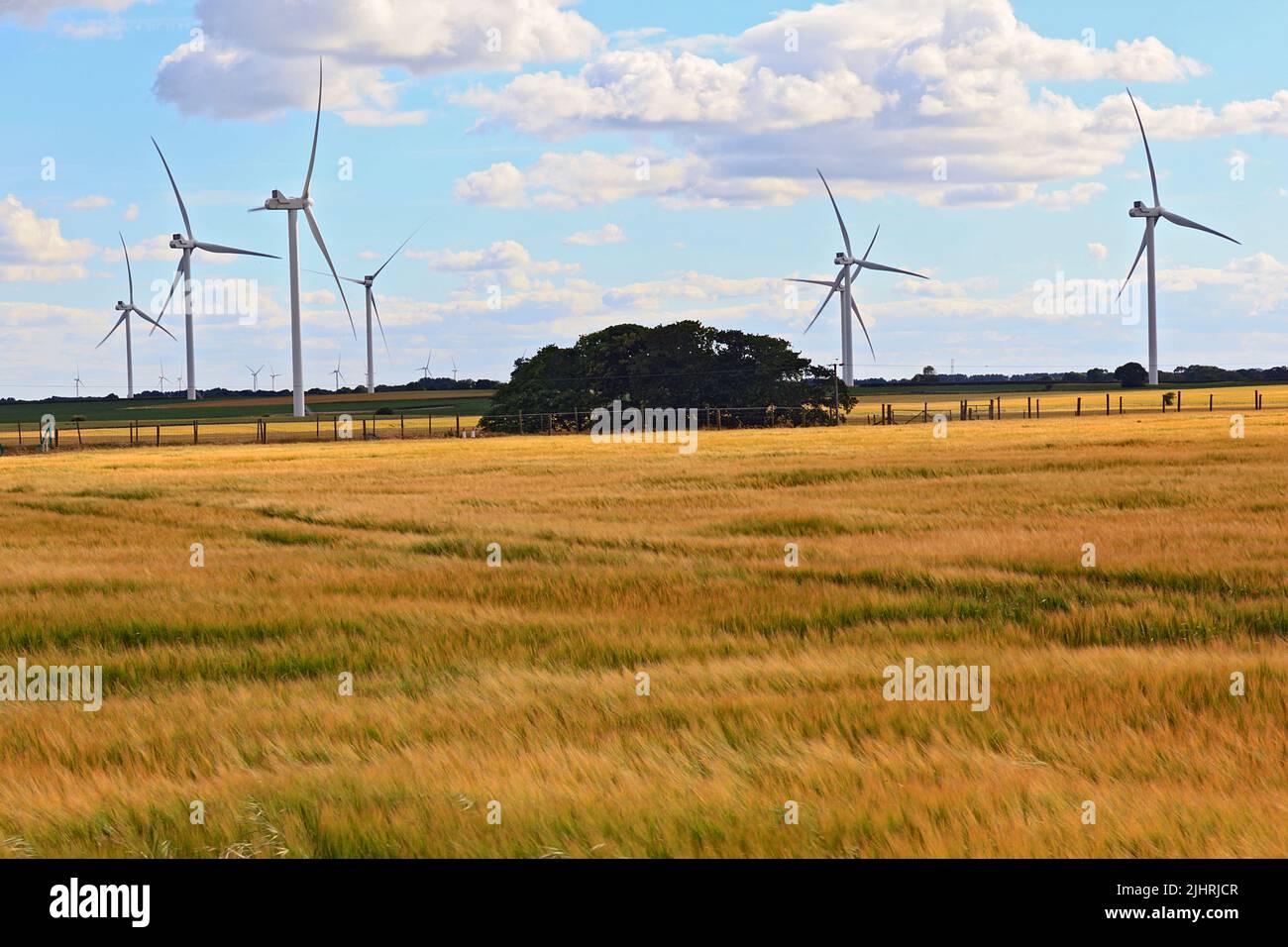 Windpark Fraisthorpe, Bridlington, East Yorkshire, England Stockfoto