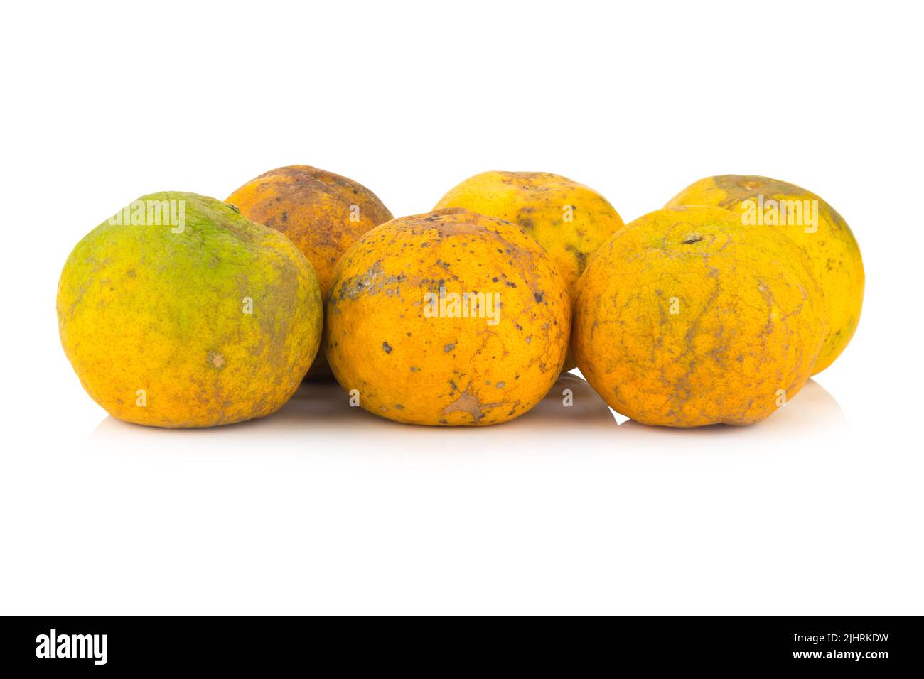 Orange. Faul. Schmutzig. Sechs. Isoliert auf weißem Hintergrund. Stockfoto