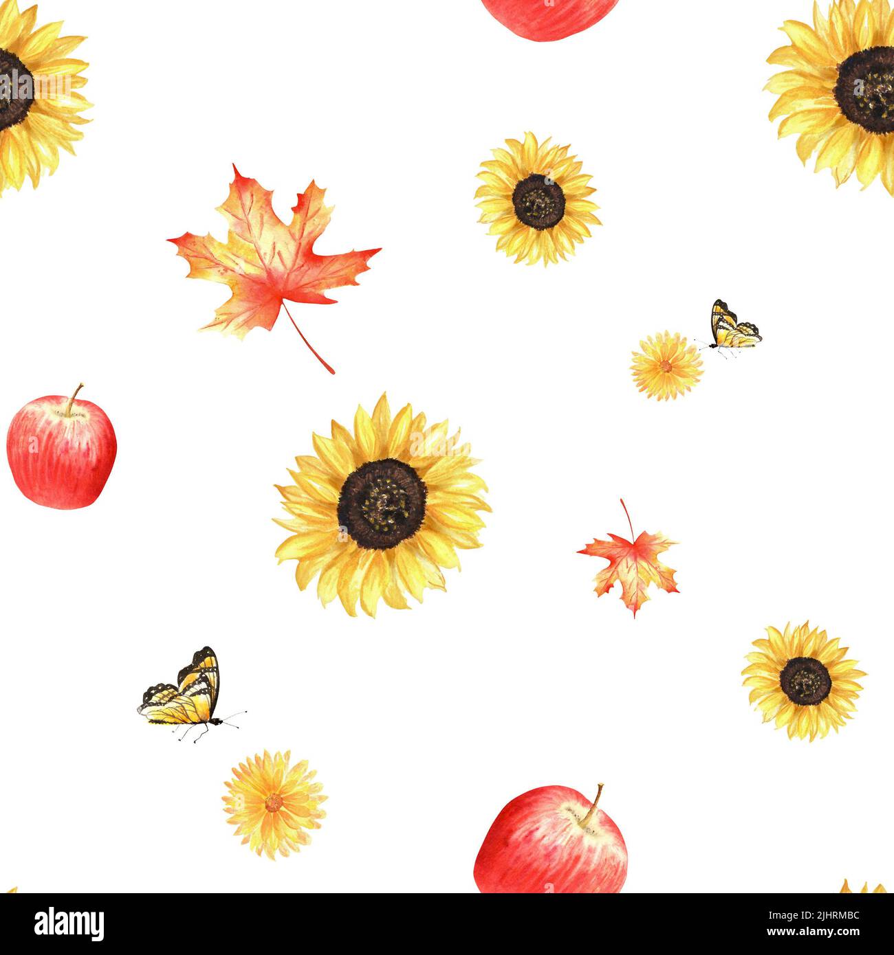 Aquarell-Herbstmuster. Eine Gartenkollektion im Herbst. Eine Reihe von Aquarell-Illustrationen, darunter Sonnenblumen, Ahornblätter, Äpfel, Ringelblume und b Stockfoto
