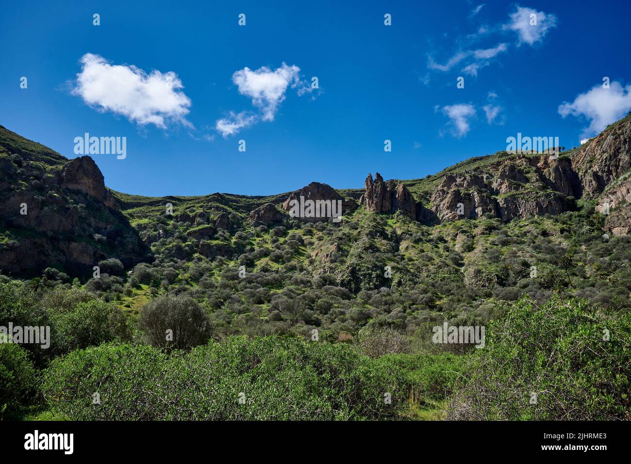 Eine Wanderansicht der Caldera de Bandama auf den Kanarischen Inseln, Spanien Stockfoto