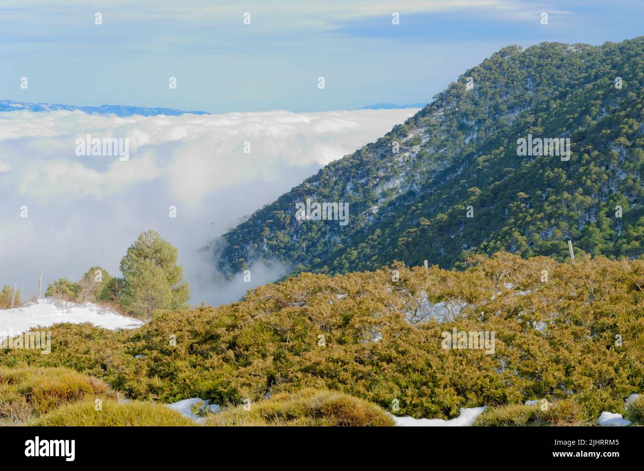 Wolkenmeer in Richtung Osten. Kiefernwald. Naturpark Sierra Magina. Huelma, Jaén, Andalucía, Spanien, Europa Stockfoto