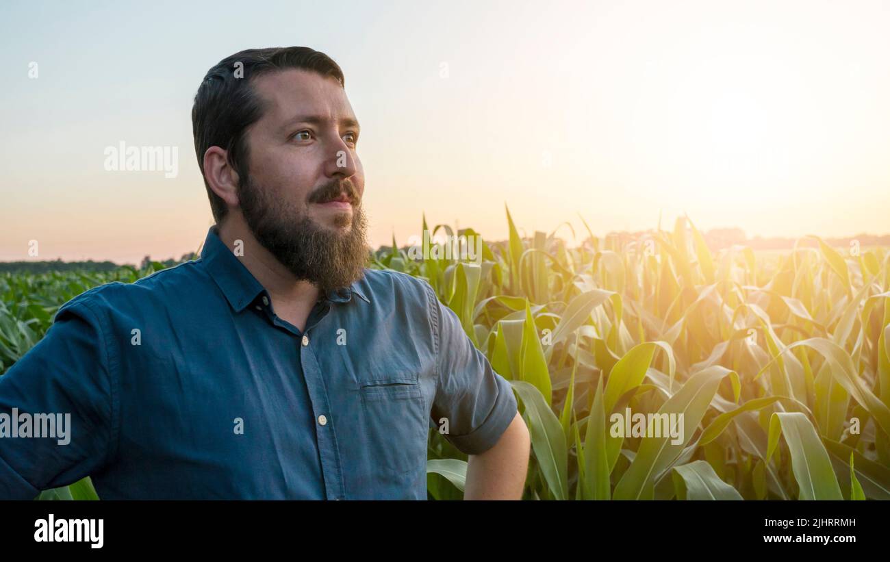 Ein selbstbewusster kaukasischer junger Landwirt im Maisfeld, der das Wachstum seines Geschäfts genießt. Geschäftskonzept. Landwirtschaft und Landwirtschaft. Stockfoto