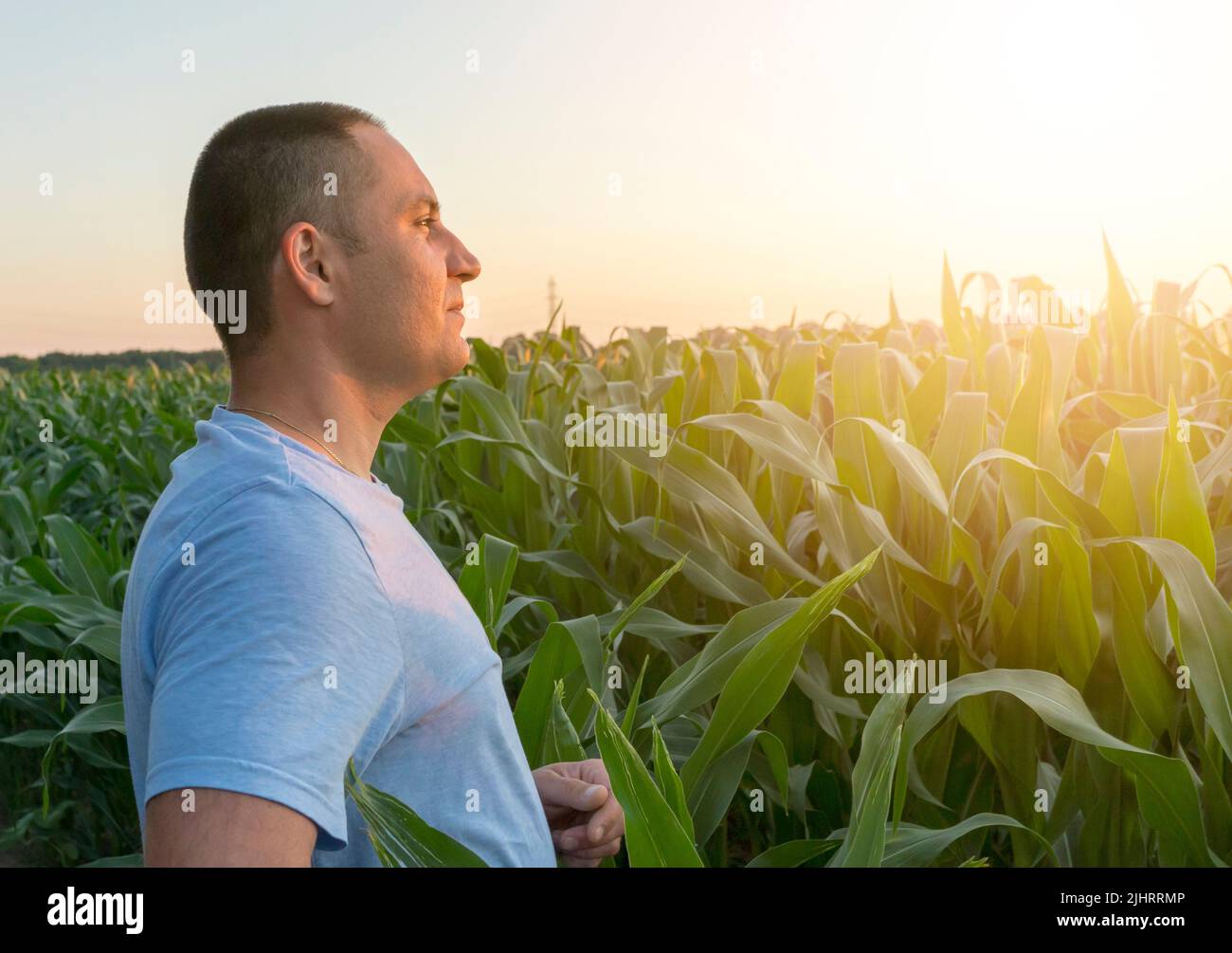 Ein selbstbewusster kaukasischer junger Landwirt im Maisfeld, der das Wachstum seines Geschäfts genießt. Geschäftskonzept. Landwirtschaft und Landwirtschaft. Stockfoto