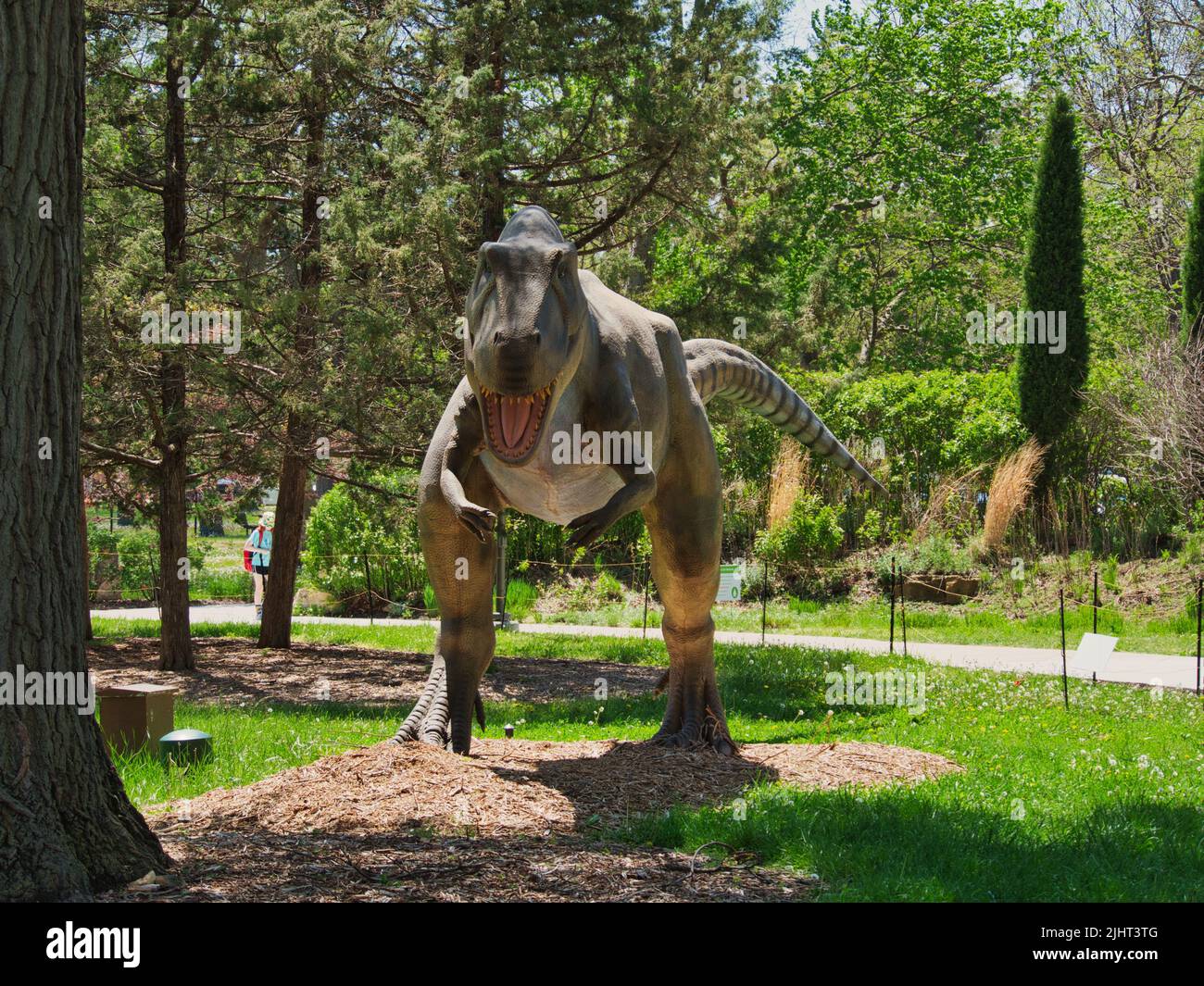 Eine Ausstellung mit lebenden Dinosauriern im Freien im Topeka Zoo Conservation Center in Topeka, Kansas Stockfoto