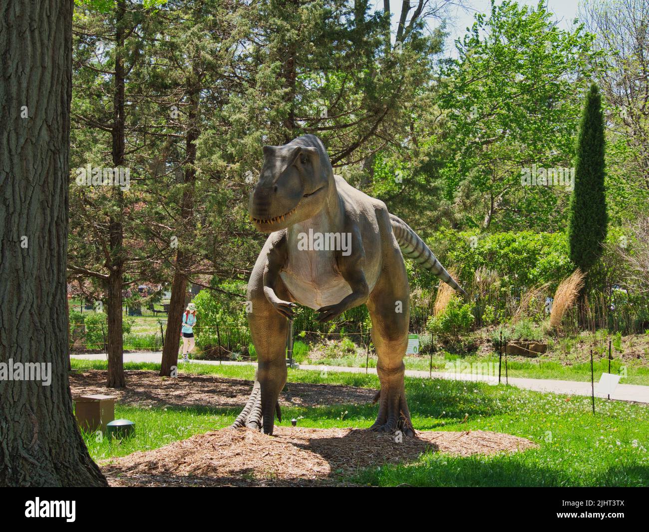 Eine Ausstellung mit lebenden Dinosauriern im Freien im Topeka Zoo Conservation Center in Topeka, Kansas Stockfoto