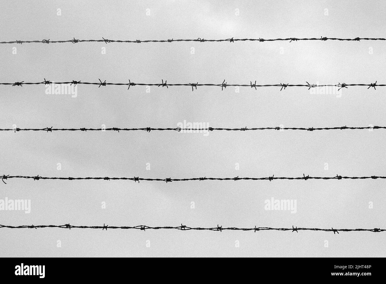 Stacheldraht im KZ Mauthausen Stockfoto