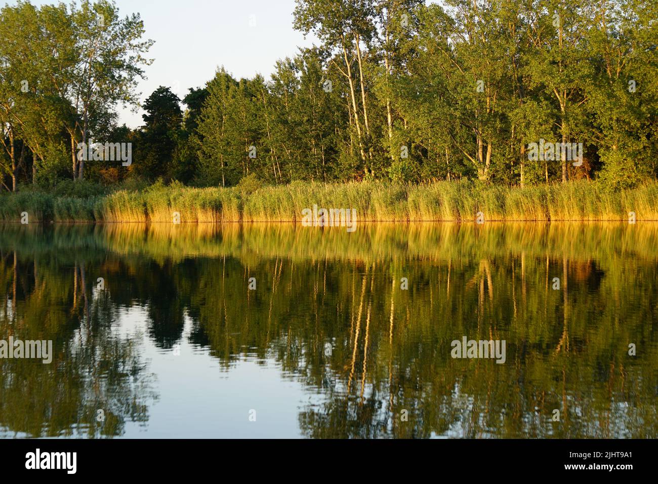 Mehrere Boote duckten sich in einen Teich mit Baumreflexen Stockfoto