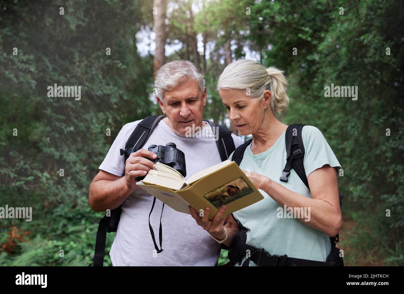 Ein älteres kaukasisches Paar benutzte Ferngläser und ein Buch, während es während einer Wanderung Vögel in einem Wald beobachtete. Reifer Ehemann und Ehefrau erkunden in einem Wald Stockfoto