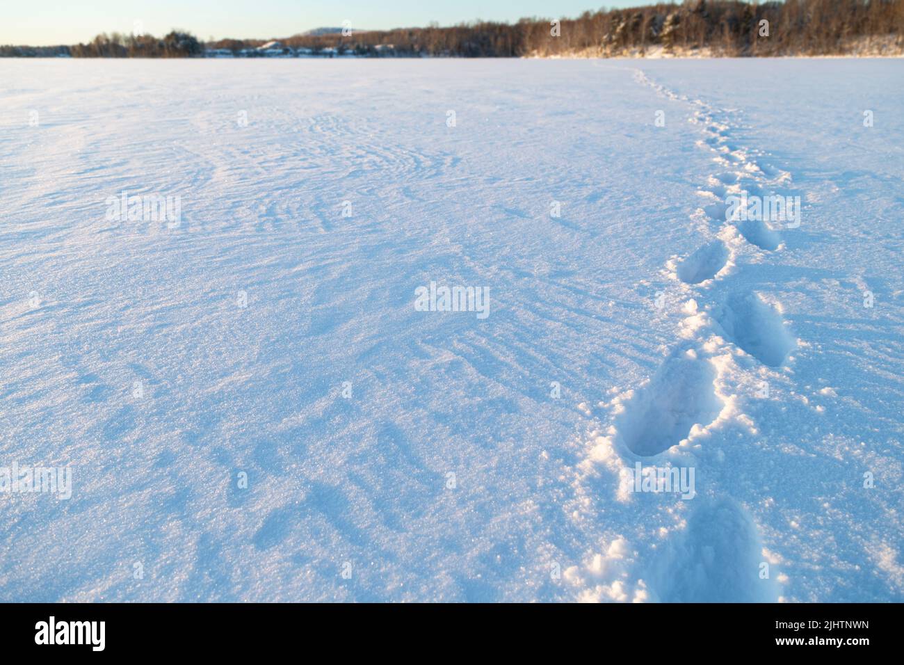 An einem sonnigen Tag im Winter treten Sie auf einem gefrorenen und verschneiten See in Finnland auf. Fokus auf den Vordergrund. Stockfoto