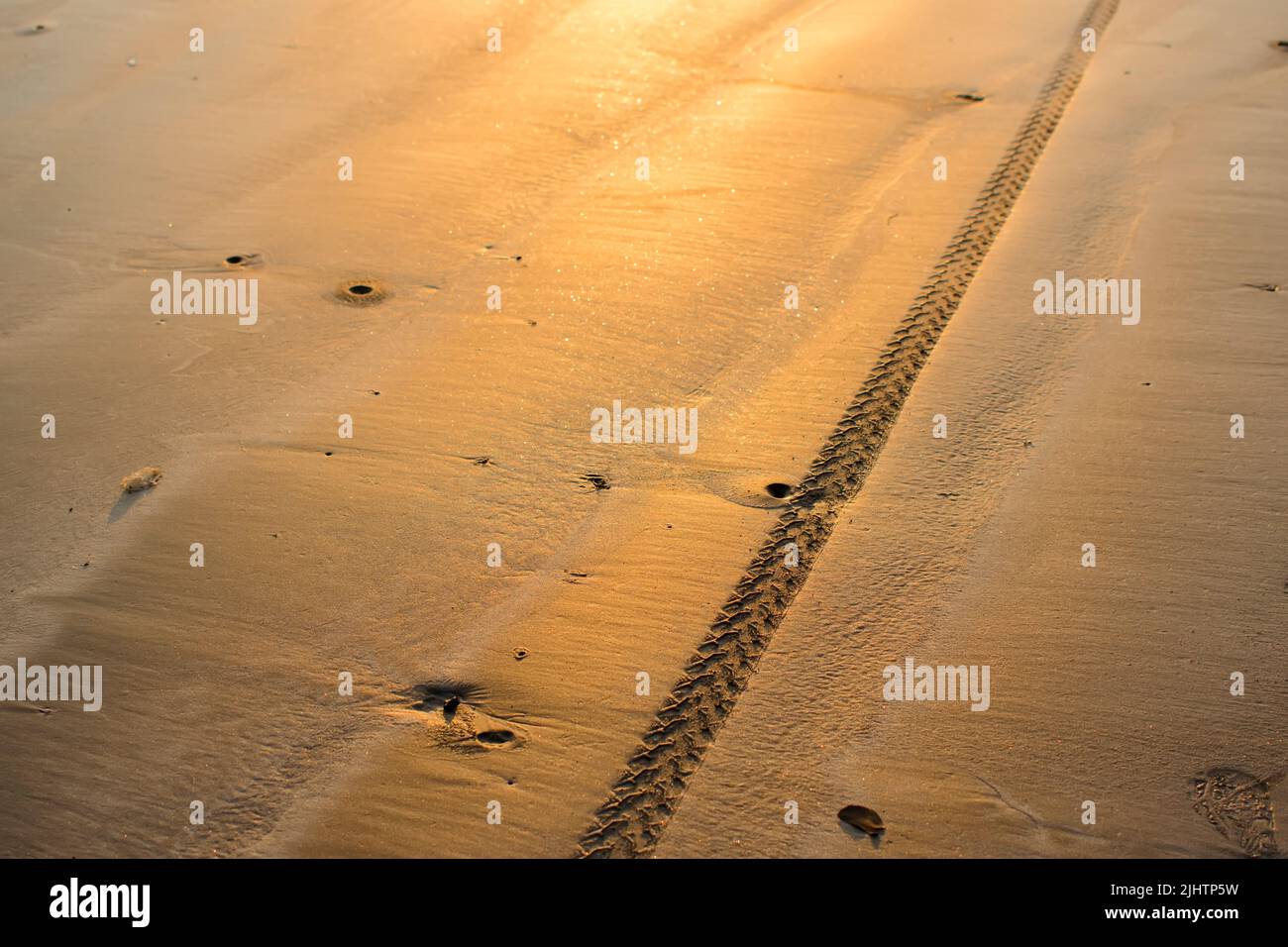 Fahrradreifen tritt Muster Eindruck auf nassem Strand Sand mit Abend goldenes Sonnenlicht auf dem Sand scheint. Stockfoto