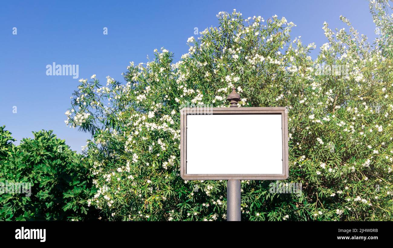 Leere quadratische Zeichen mockup in der städtischen Umgebung auf der Straße, leerer Raum, um Ihr Geschäft Zeichen oder Logo anzuzeigen. Modell auf weißem Hintergrund für den d Stockfoto
