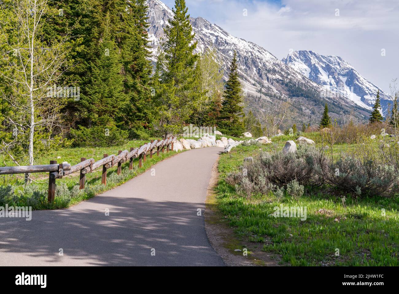 Wanderweg in der Nähe des Jenny Lake im Grand Teton National Park, Wyoming Stockfoto