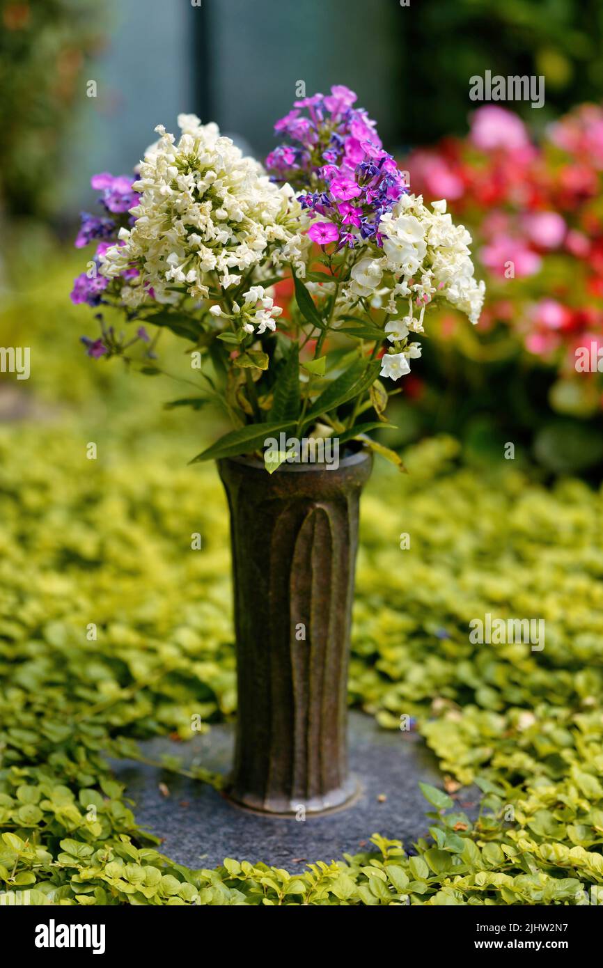 Metallvase mit frischer Blumendekoration auf einem Grab Stockfoto
