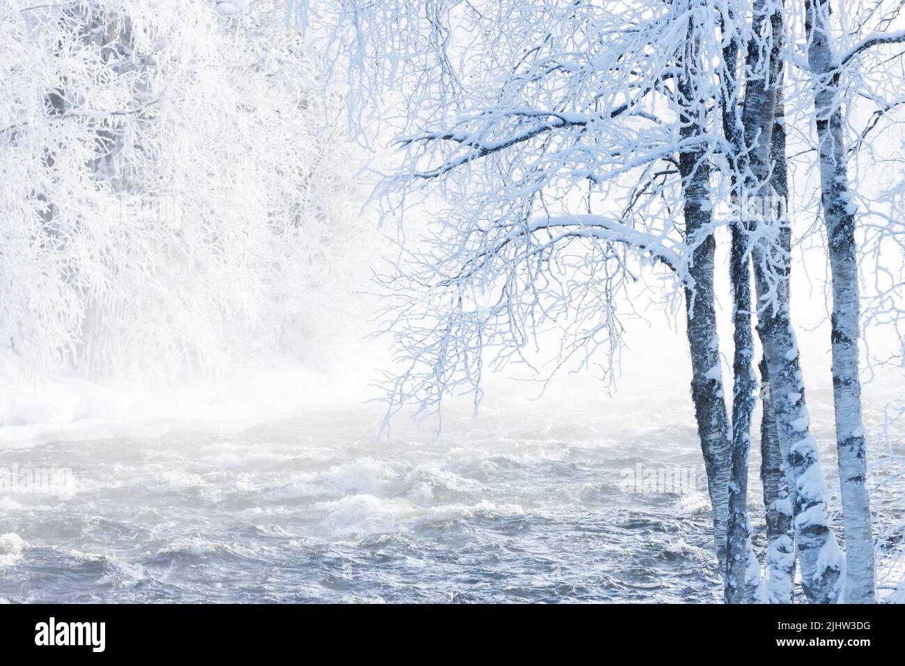 Stromschnellen in der Nähe von Kuusamo, Nordfinnland an einem kalten Wintermorgen. Stockfoto