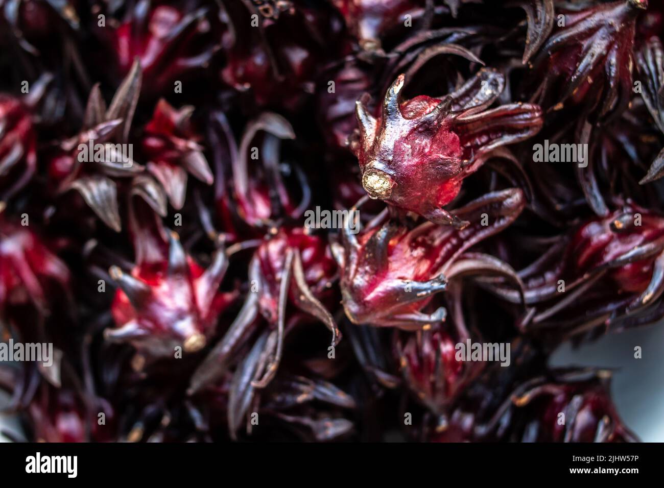 Nahaufnahme einer Schüssel voller Hibiskus-Sabdariffa oder Sorrel, einer reichen roten Blume, die in karibischen Ländern zur Weihnachtszeit für Sorrel-Getränke verwendet wurde. Stockfoto