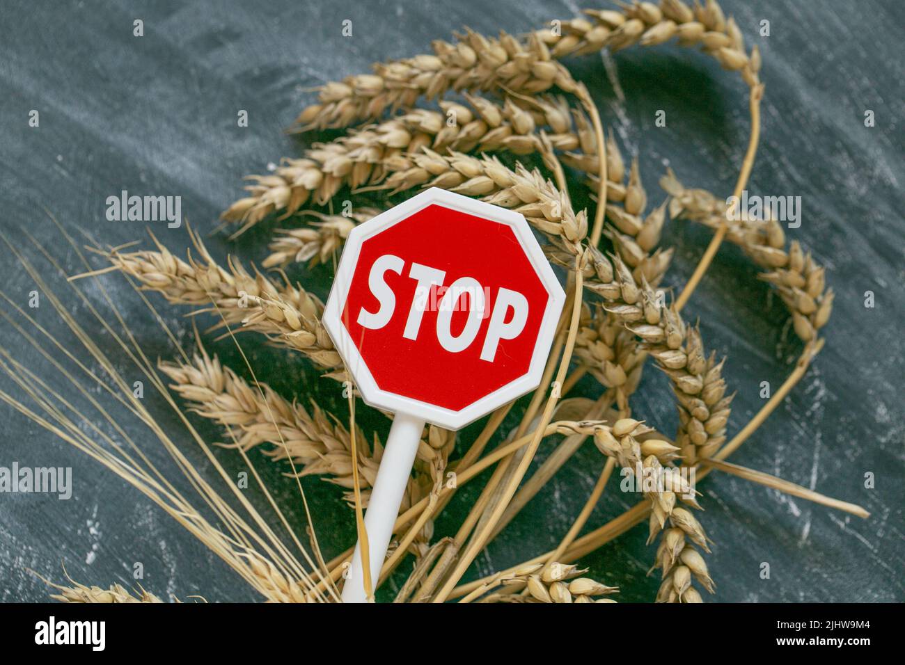 Weizenohren und rotes Stoppschild auf schwarzem Kreidetafel Hintergrund.Lebensmittelkrise.Import- und Exportverbot für Weizen.steigende Preise für Weizen Stockfoto