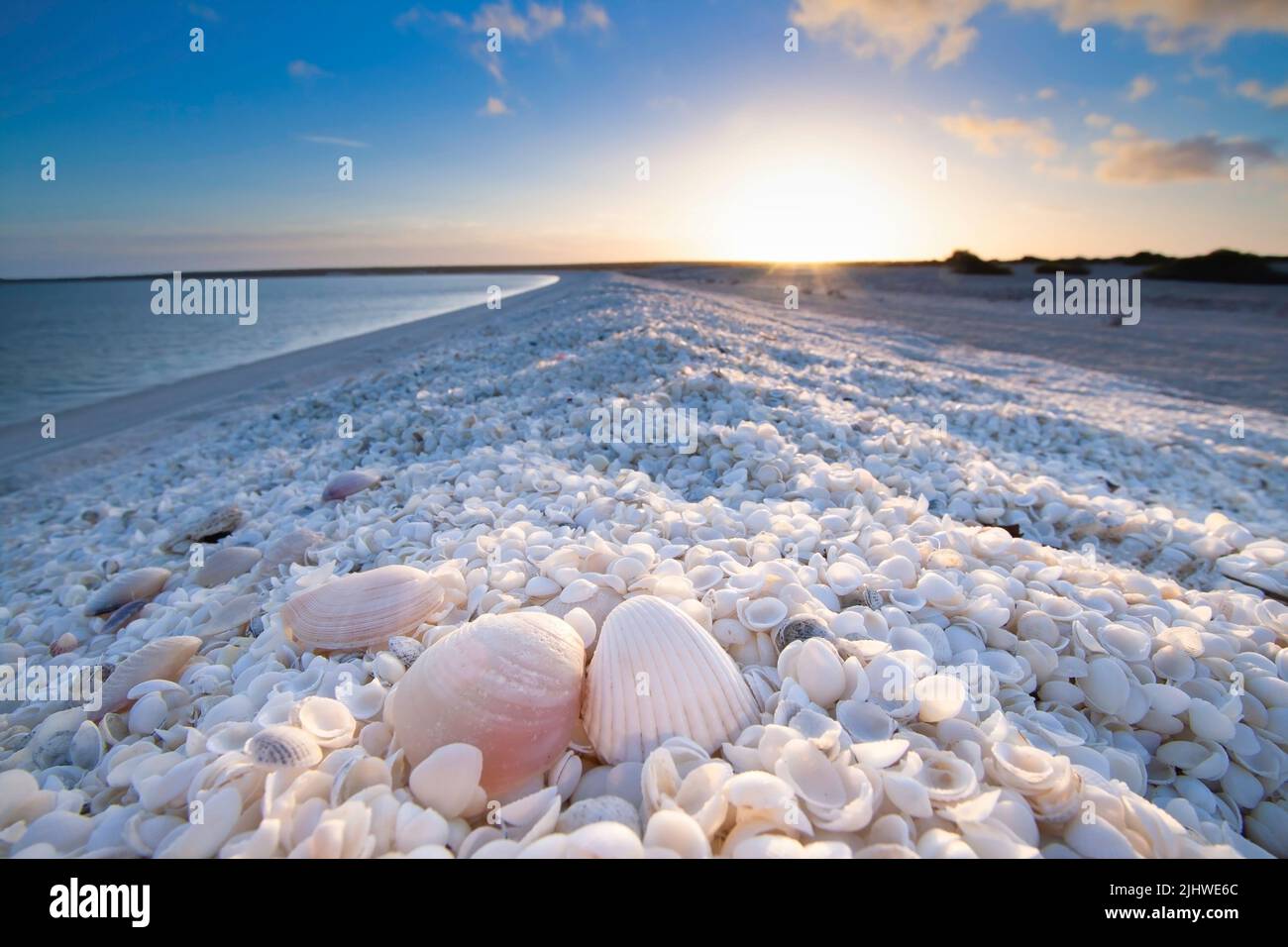 Urlaub Sonnenaufgang im Sommer in Shell Beach, Monkey Mia, Shark Bay Western Australia Stockfoto