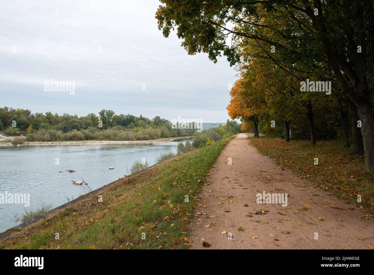 Rheinufer im Herbst. Stockfoto