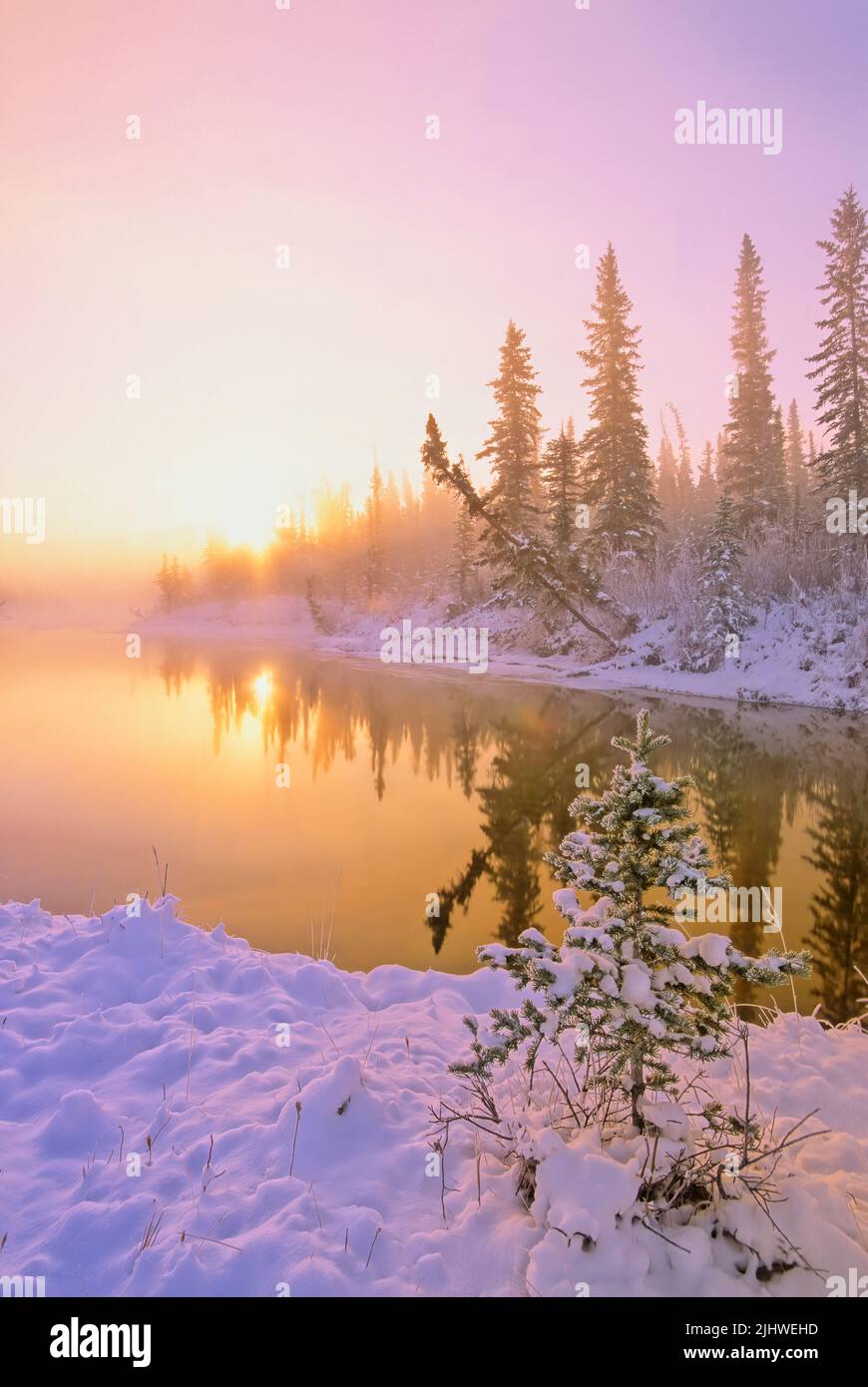 Sonnenaufgang auf einem goldenen Teich im Jasper National Park an einem kalten Wintertag. Stockfoto