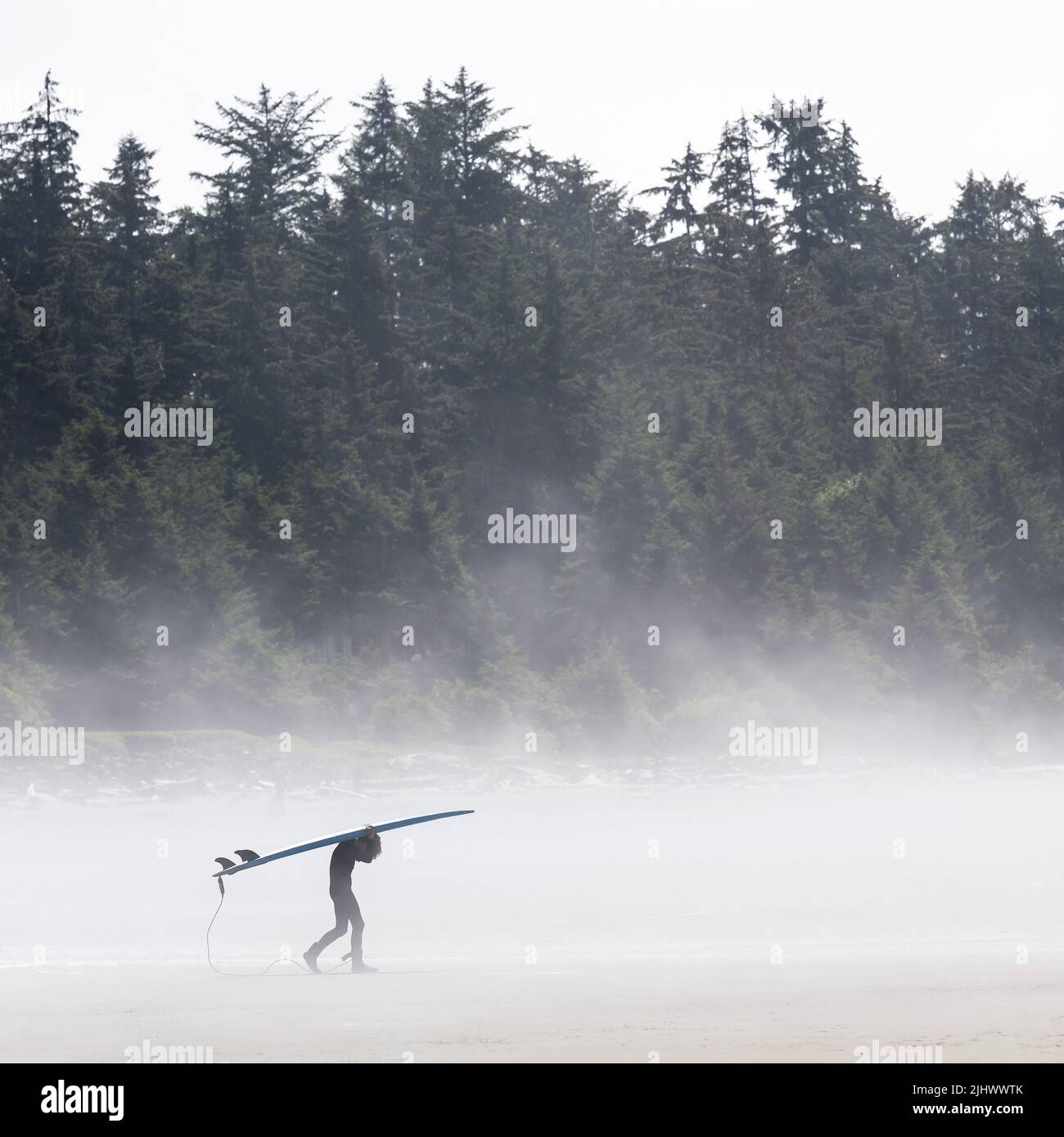 Junger Surfer mit Surfbrett im Nebel, Chesterman Beach, Tofino, Vancouver Island, British Columbia, Kanada. Stockfoto