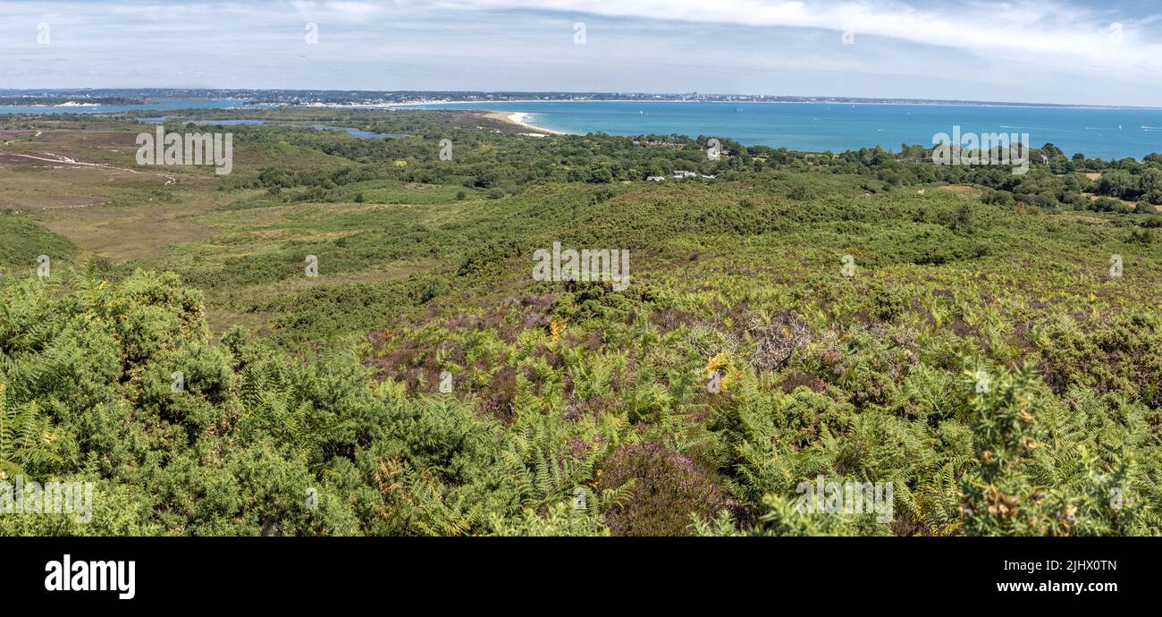 Poole Harbour und Studland Bay von Studland und Godlingston Heath, Dorset, Großbritannien Stockfoto
