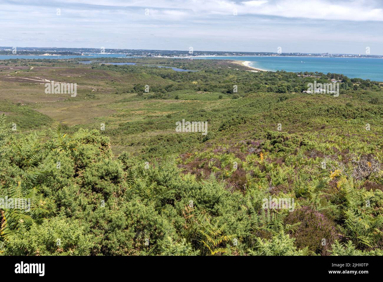 Poole Harbour und Studland Bay von Studland und Godlingston Heath, Dorset, Großbritannien Stockfoto