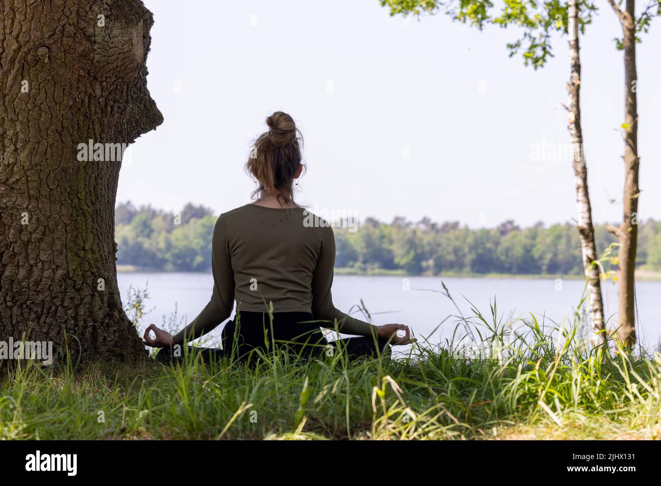 Junge Frau, die Yoga in der Natur praktiziert. Auf grünem Gras neben einem Baum und einem Waldsee sitzend. Kommunizieren Sie, um Sport zu treiben und eine gute Gesundheit zu erhalten. Hochwertige Fotos Stockfoto