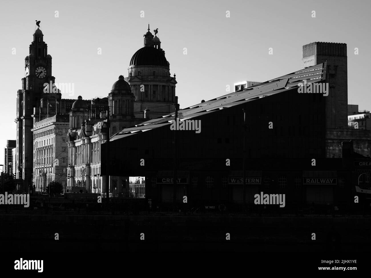 Das Royal Liver Building - Schwarz-Weiß-Version Stockfoto